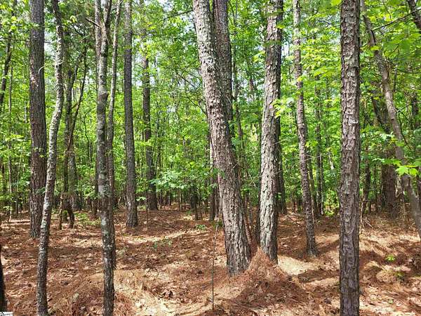 34 Acres of Land for Sale in Cowpens, South Carolina