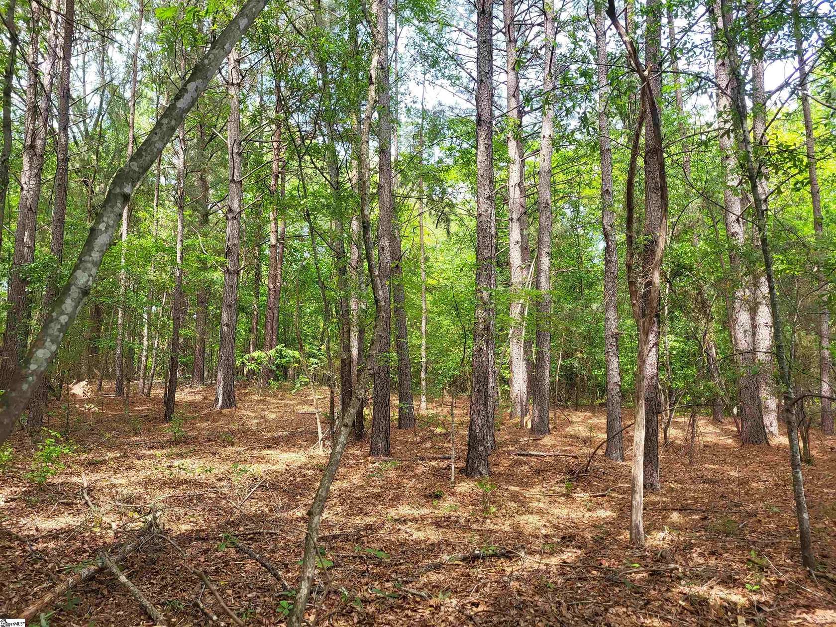 19.4 Acres of Land for Sale in Cowpens, South Carolina