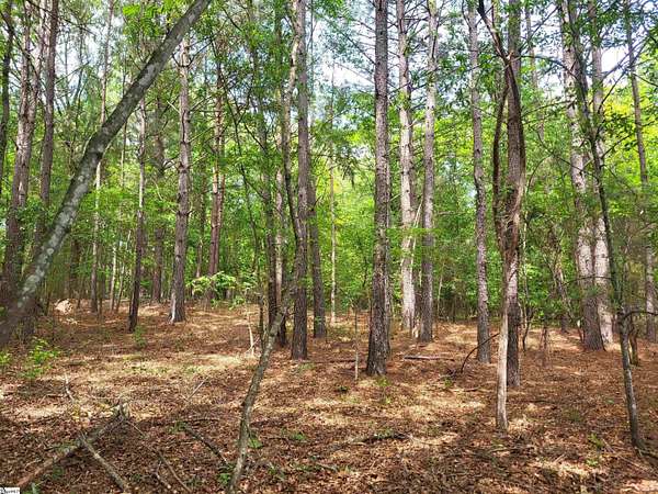 19.4 Acres of Land for Sale in Cowpens, South Carolina