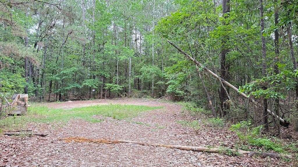 0.59 Acres of Land for Sale in Brookeland, Texas