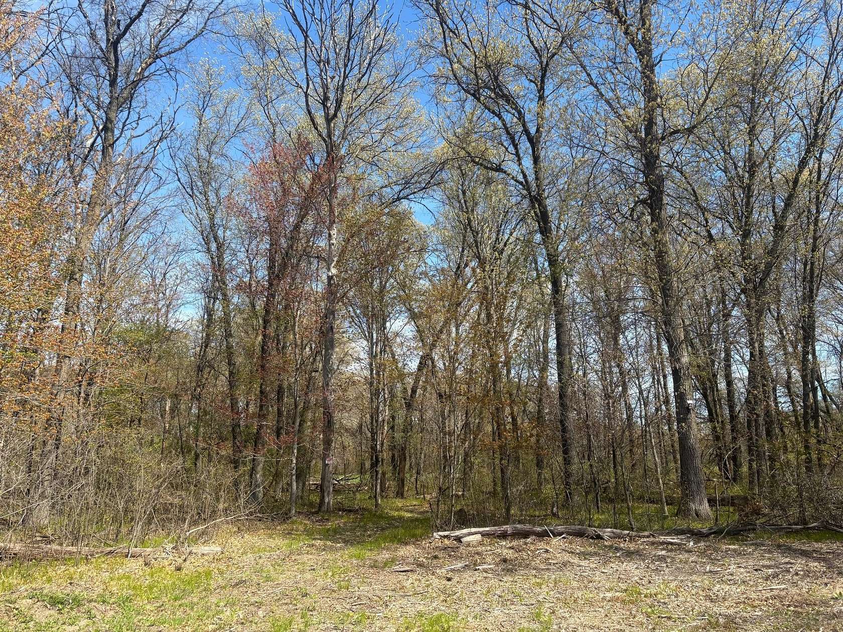 26.2 Acres of Recreational & Residential Land for Sale in Princeton, Minnesota