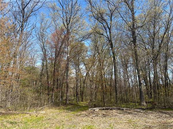 26.2 Acres of Recreational & Residential Land for Sale in Princeton, Minnesota