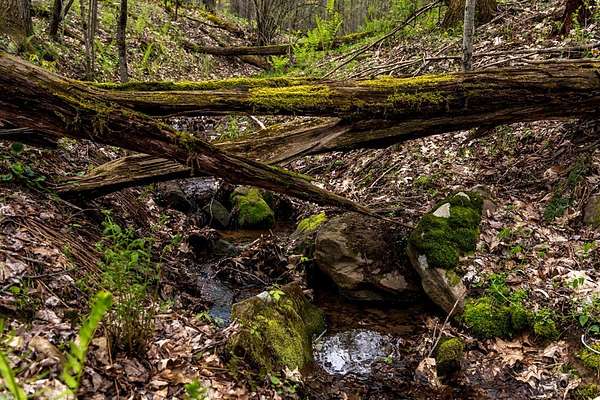 36 Acres of Recreational & Residential Land for Sale in Shippenville, Pennsylvania