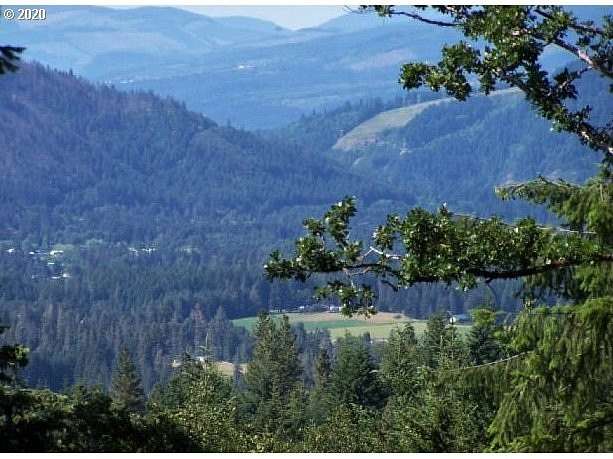 10 Acres of Recreational & Residential Land for Sale in Husum, Washington