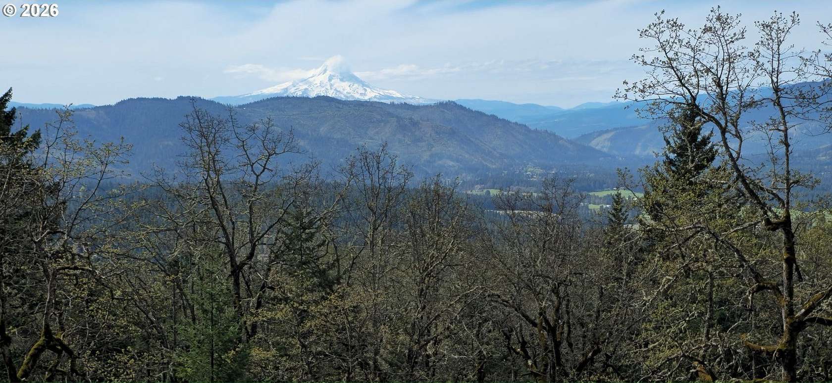 10 Acres of Residential Land for Sale in White Salmon, Washington