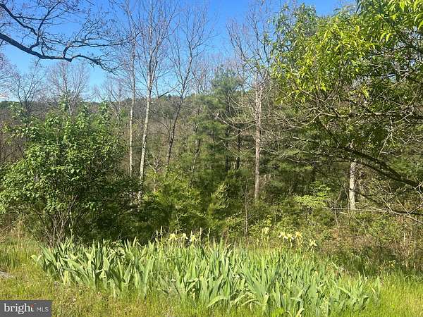 2 Acres of Residential Land for Sale in Berkeley Springs, West Virginia