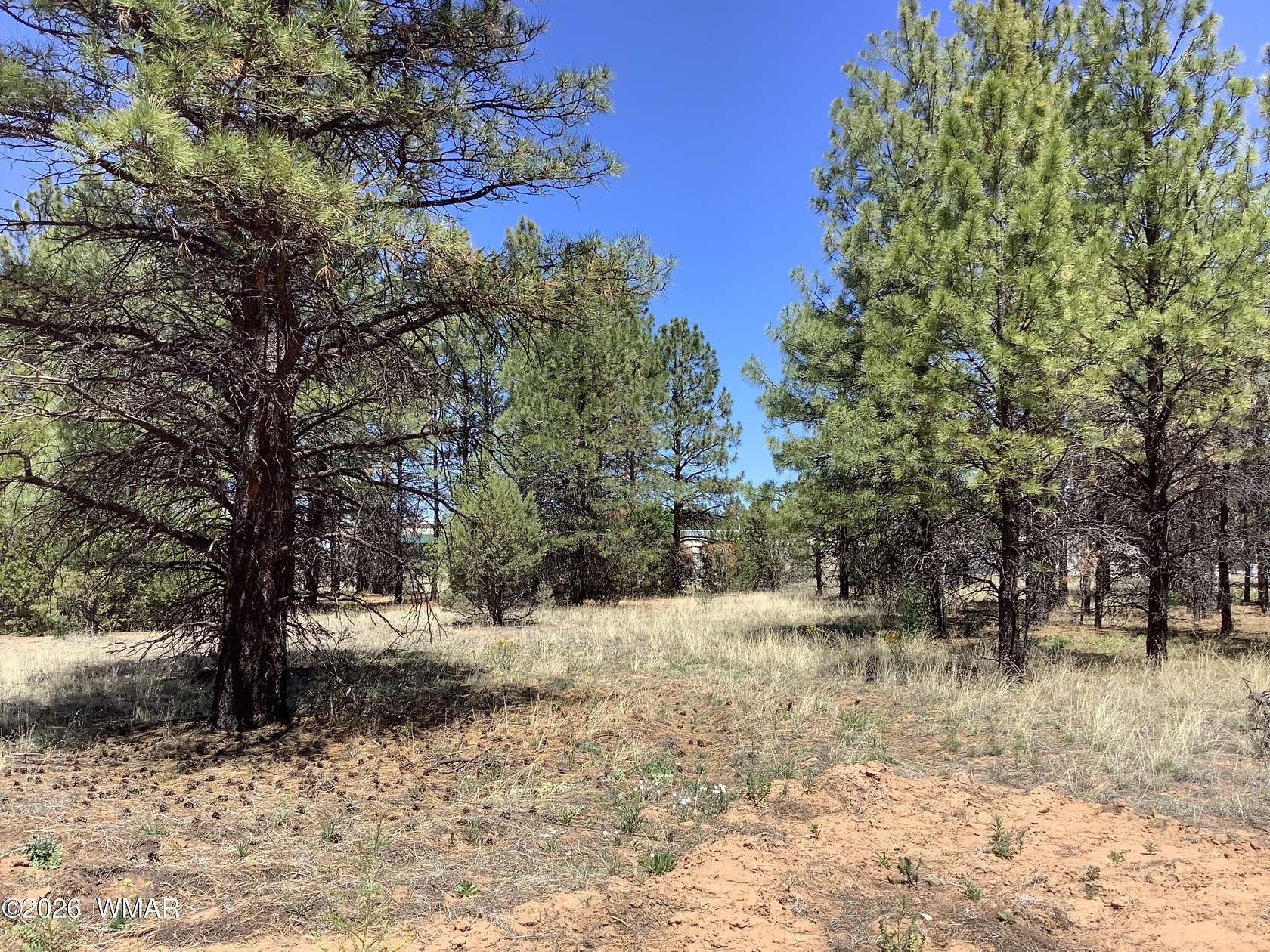 0.87 Acres of Residential Land for Sale in Overgaard, Arizona