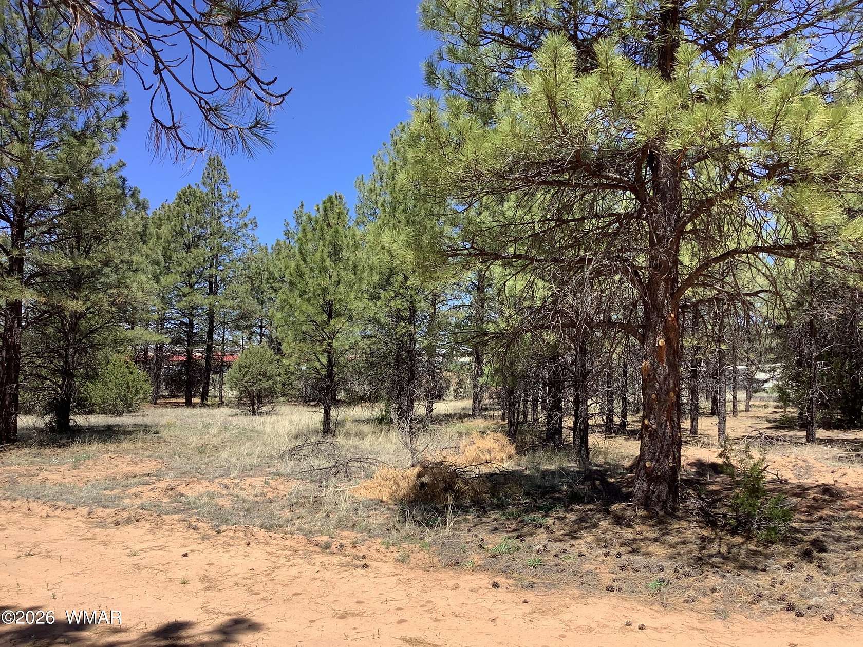 0.88 Acres of Residential Land for Sale in Overgaard, Arizona