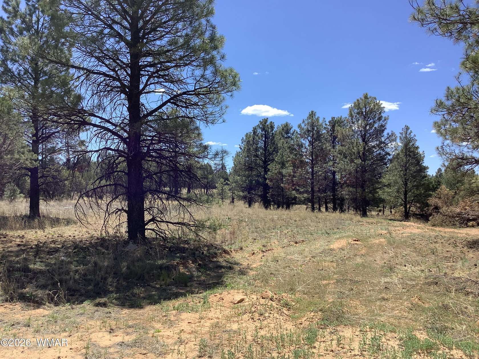 0.87 Acres of Residential Land for Sale in Overgaard, Arizona