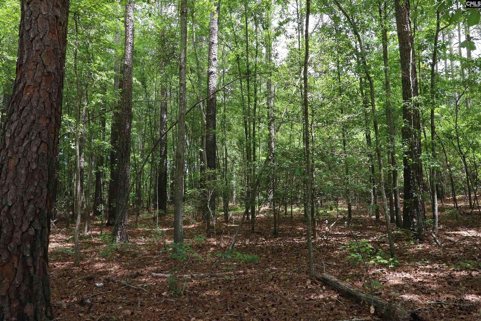 12.5 Acres of Land for Sale in Leesville, South Carolina