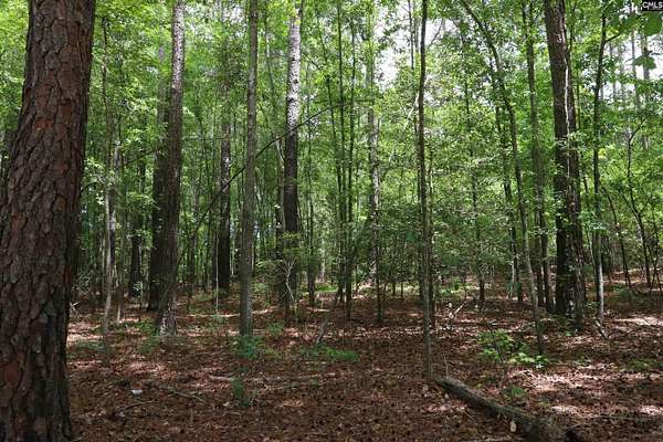 12.5 Acres of Land for Sale in Leesville, South Carolina