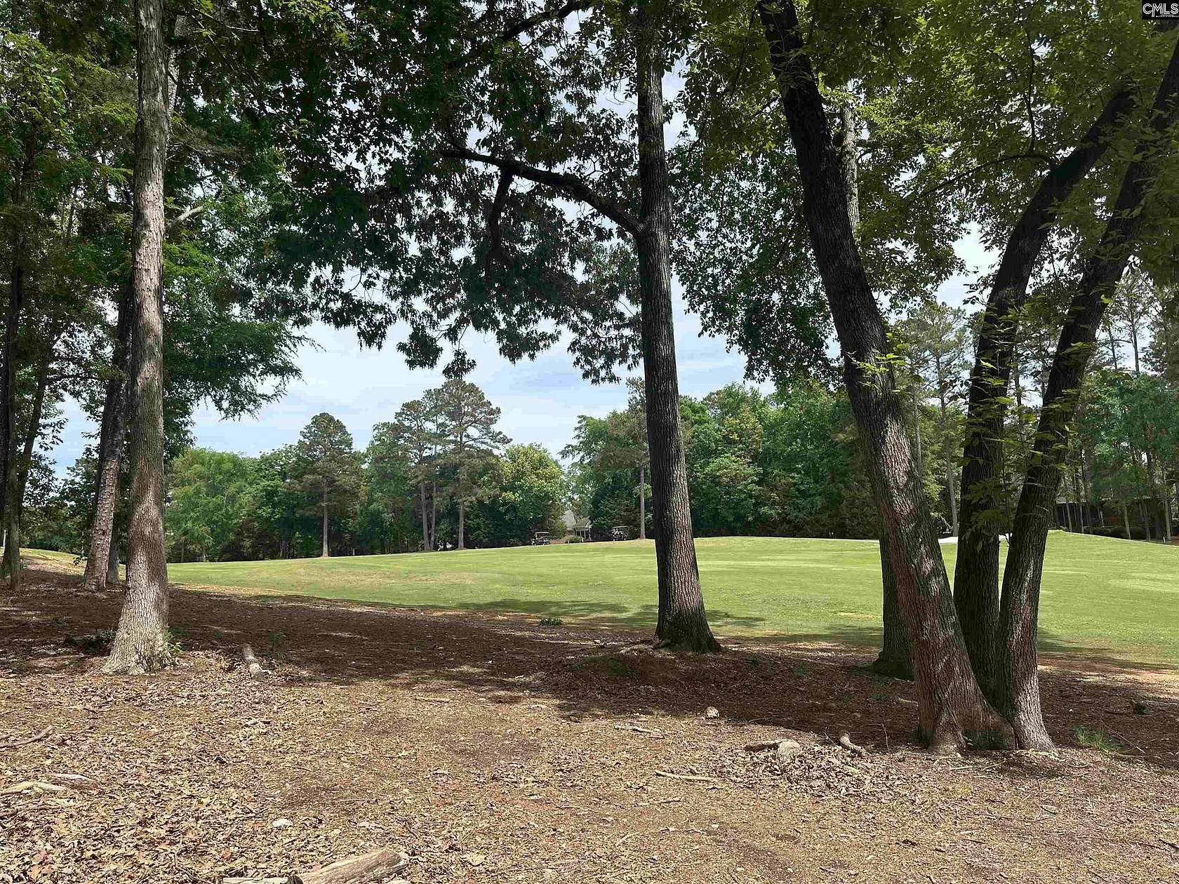 0.28 Acres of Residential Land for Sale in Chapin, South Carolina