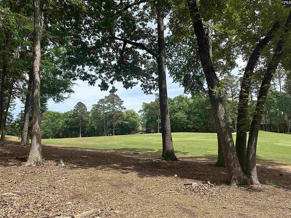 0.28 Acres of Residential Land for Sale in Chapin, South Carolina