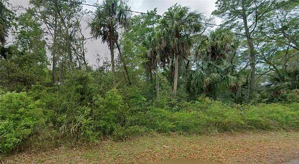 0.67 Acres of Residential Land for Sale in Crystal River, Florida