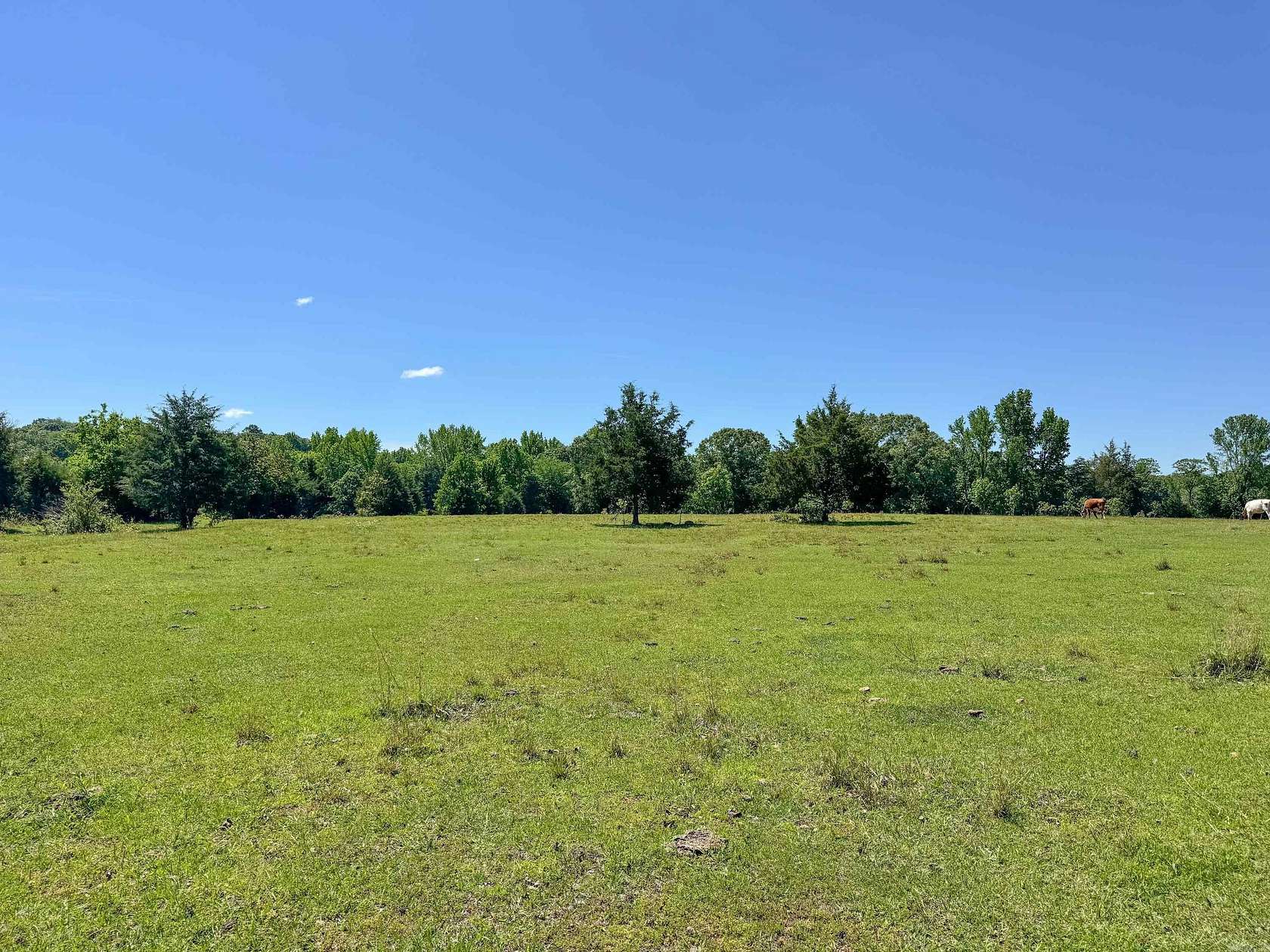 8 Acres of Residential Land for Sale in Quitman, Arkansas