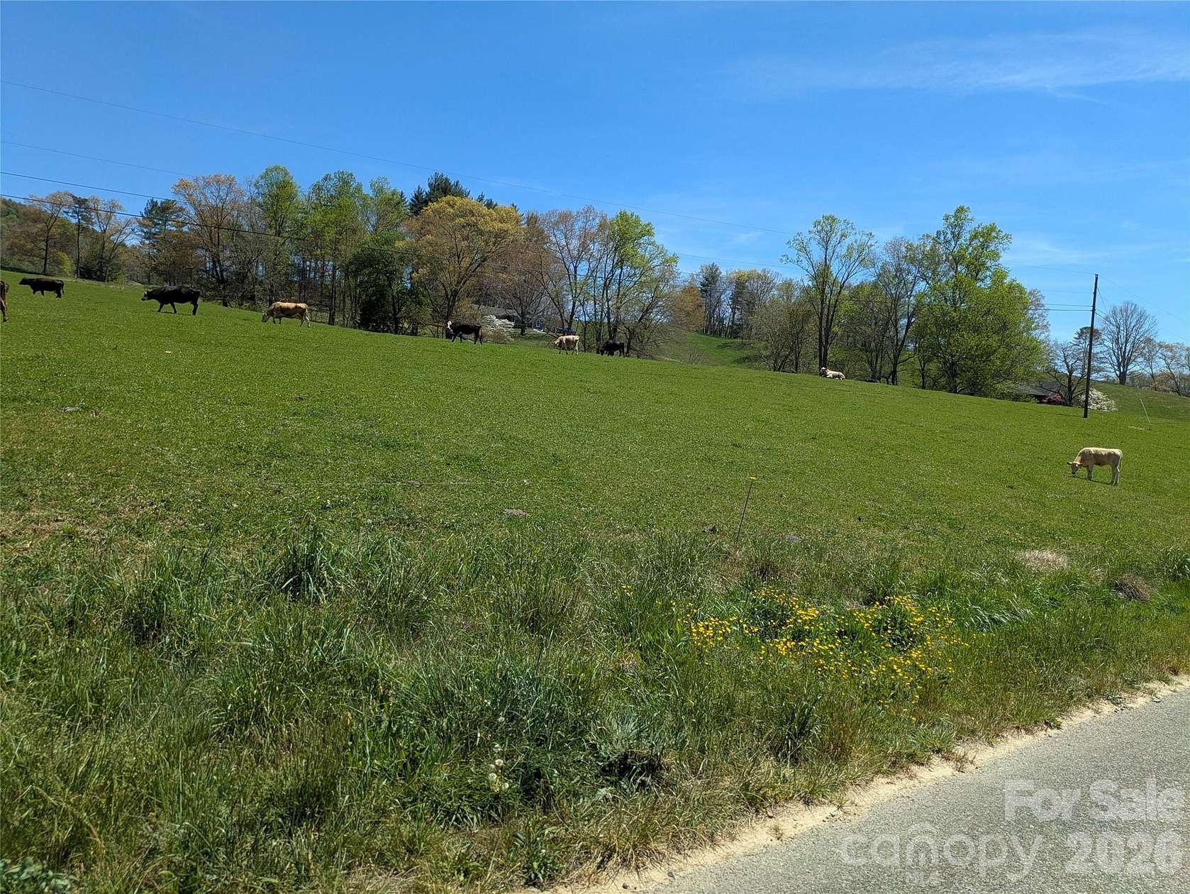 1.88 Acres of Land for Sale in Clyde, North Carolina