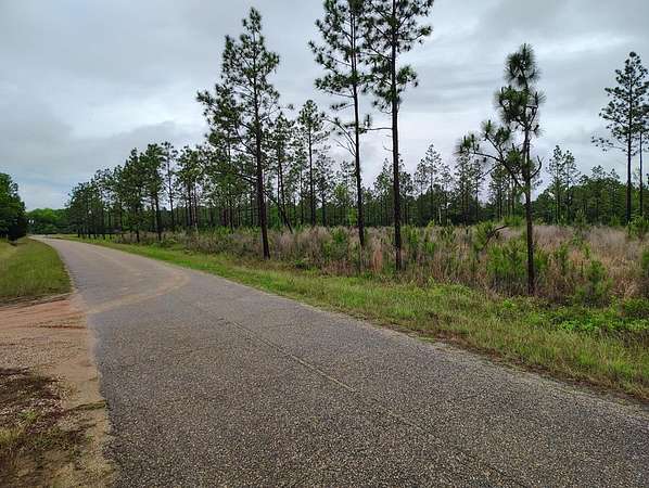 8.29 Acres of Residential Land for Sale in Pansey, Alabama