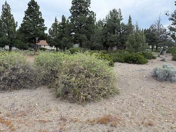 0.23 Acres of Residential Land for Sale in Weed, California