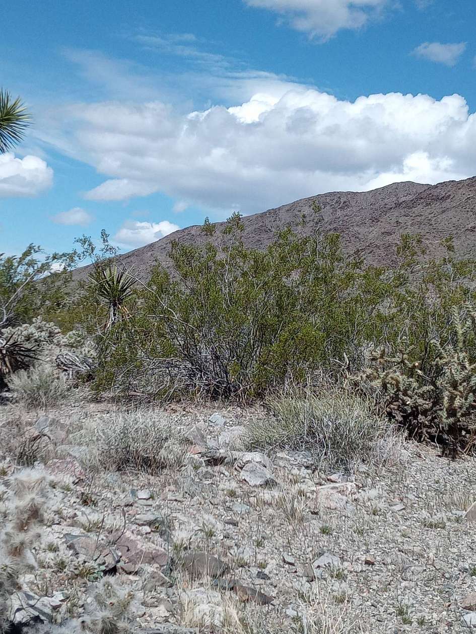1 Acre of Land for Sale in Meadview, Arizona