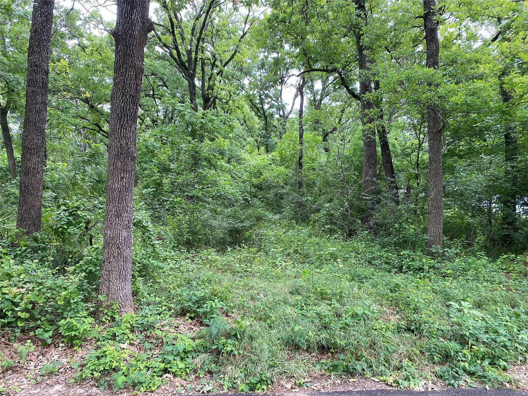 0.16 Acres of Land for Sale in Frost, Texas