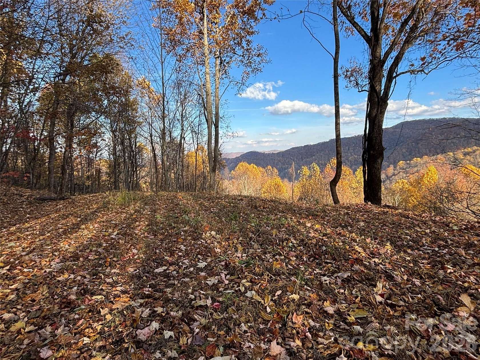 10 Acres of Recreational & Residential Land for Sale in Hot Springs, North Carolina