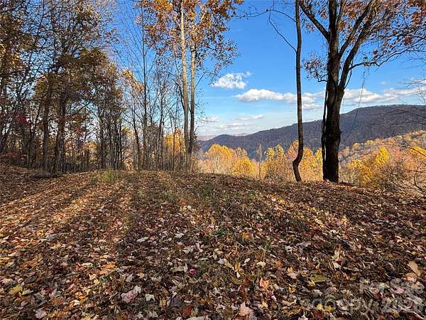 10 Acres of Recreational & Residential Land for Sale in Hot Springs, North Carolina