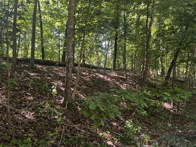 0.37 Acres of Residential Land for Sale in Bella Vista, Arkansas