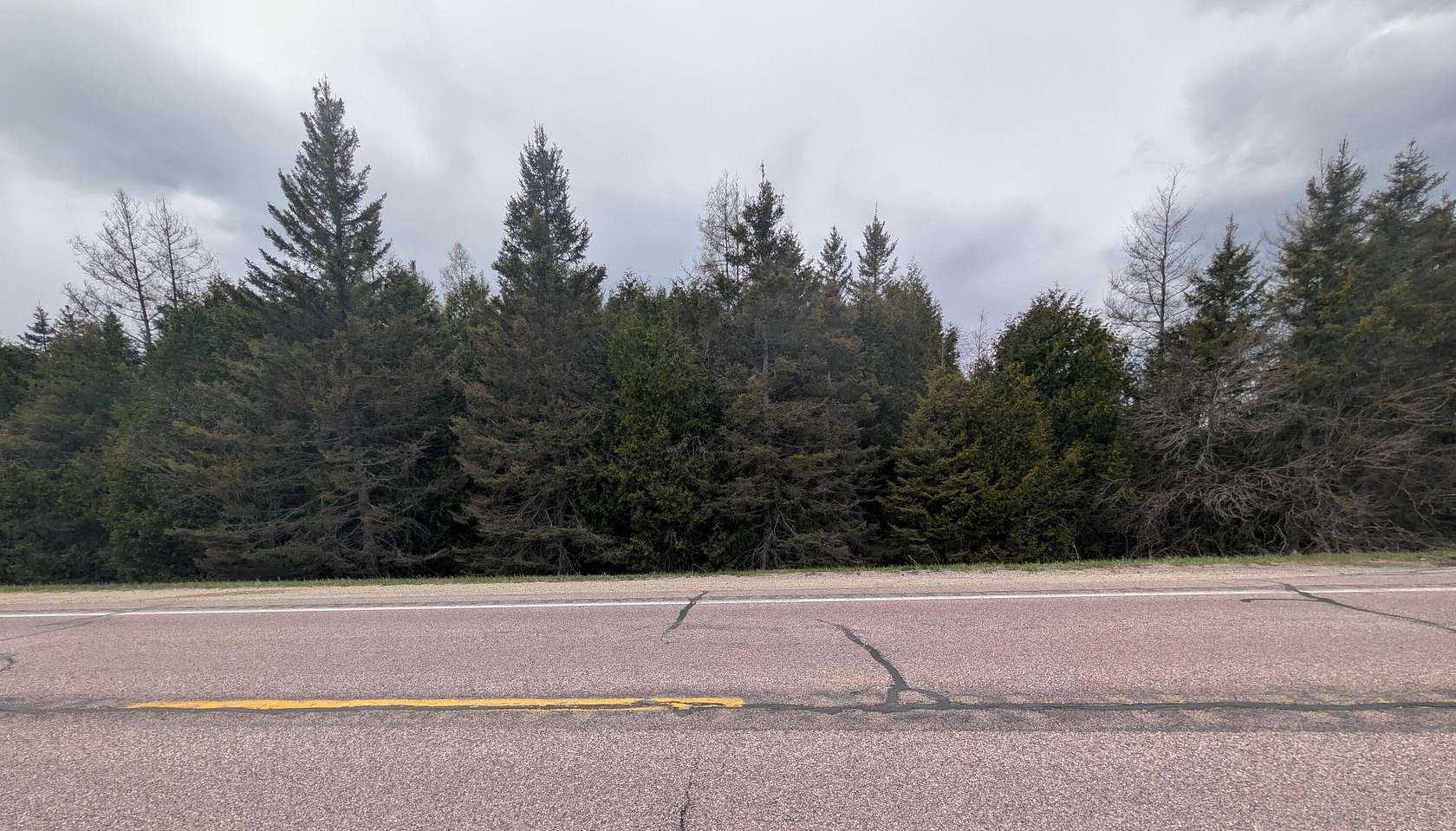 9 Acres of Land for Sale in Moran, Michigan