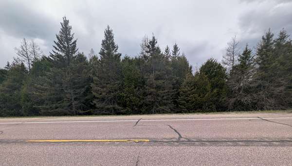 9 Acres of Land for Sale in Moran, Michigan