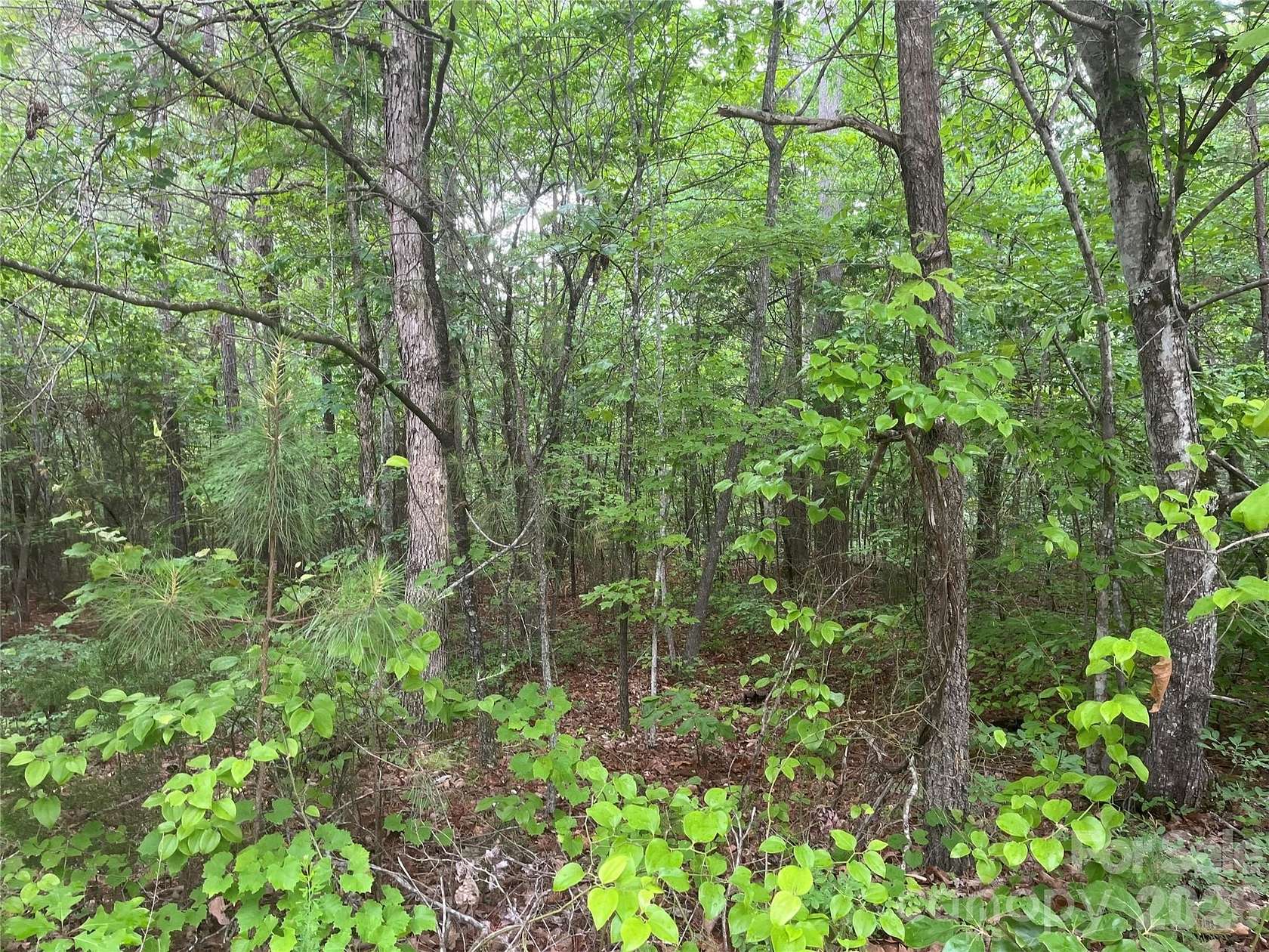 5.84 Acres of Residential Land for Sale in Smyrna, South Carolina
