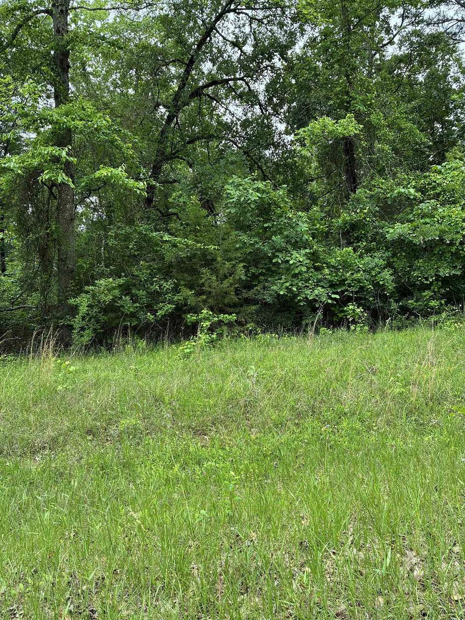 0.13 Acres of Residential Land for Sale in Avinger, Texas