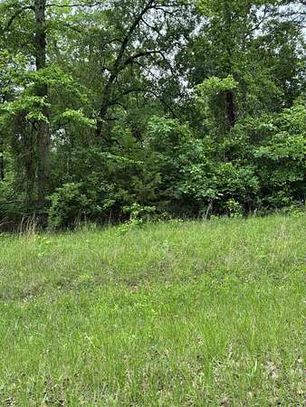 0.13 Acres of Residential Land for Sale in Avinger, Texas