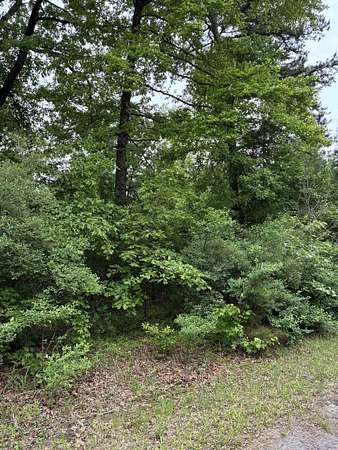 0.13 Acres of Residential Land for Sale in Avinger, Texas