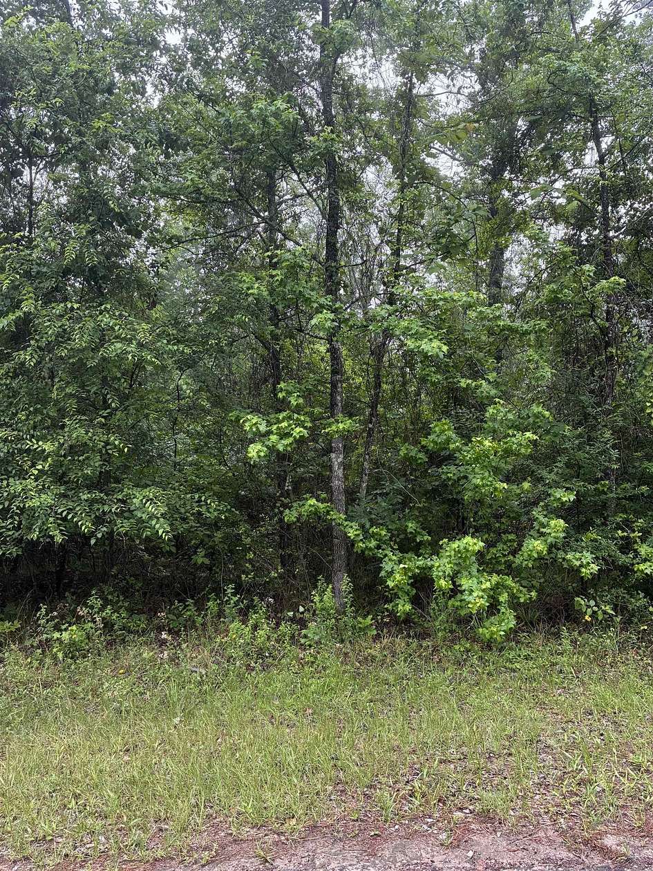 0.13 Acres of Residential Land for Sale in Avinger, Texas