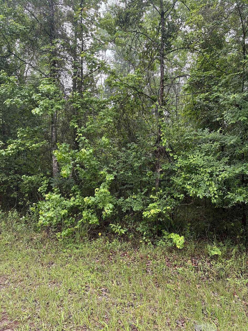 0.13 Acres of Residential Land for Sale in Avinger, Texas