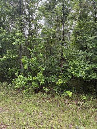 0.13 Acres of Residential Land for Sale in Avinger, Texas
