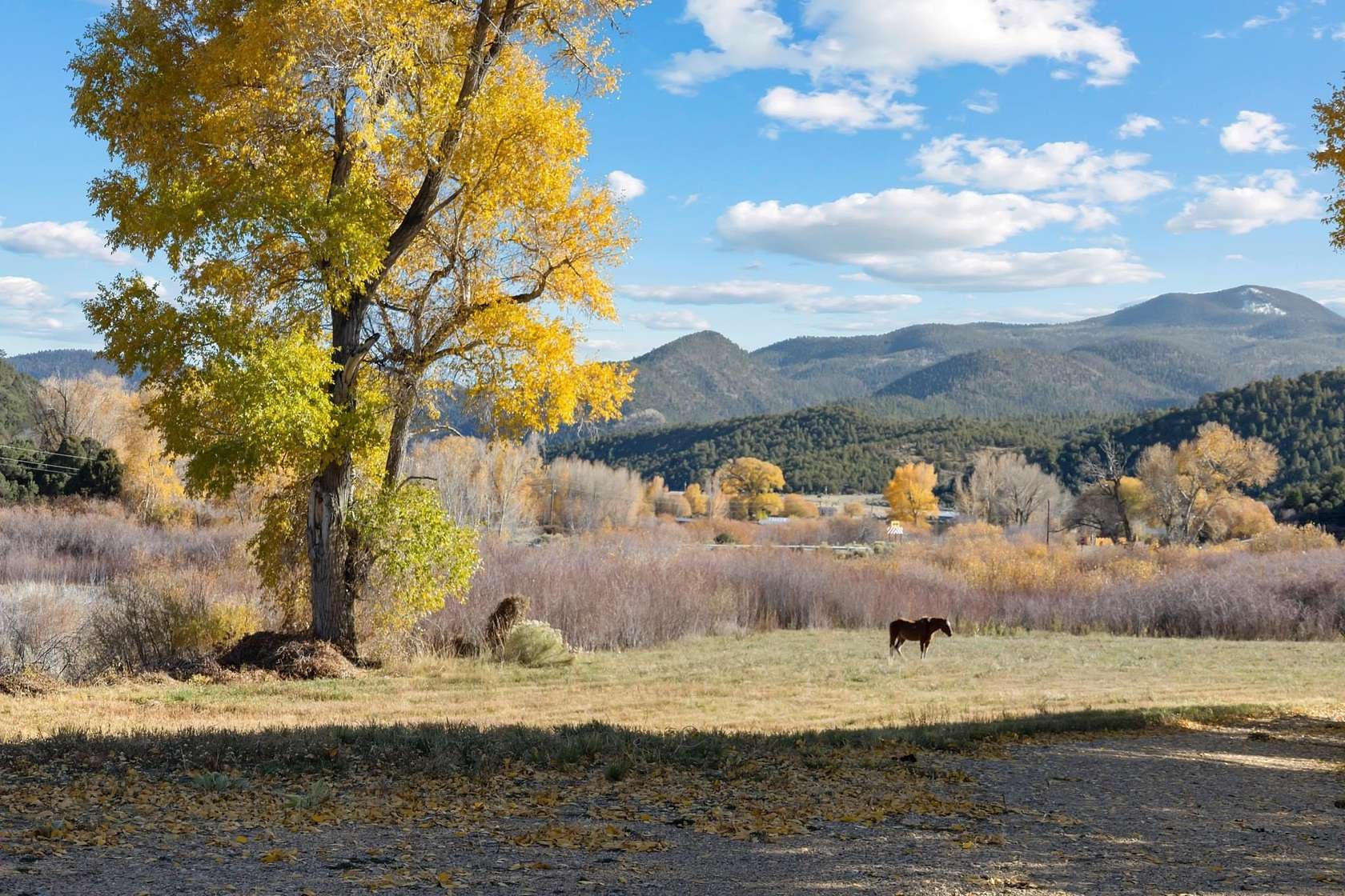 12 Acres of Recreational Land with Home for Sale in Amalia, New Mexico