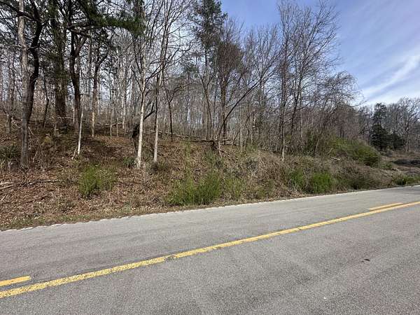 24 Acres of Recreational & Residential Land for Sale in Pine Knot, Kentucky