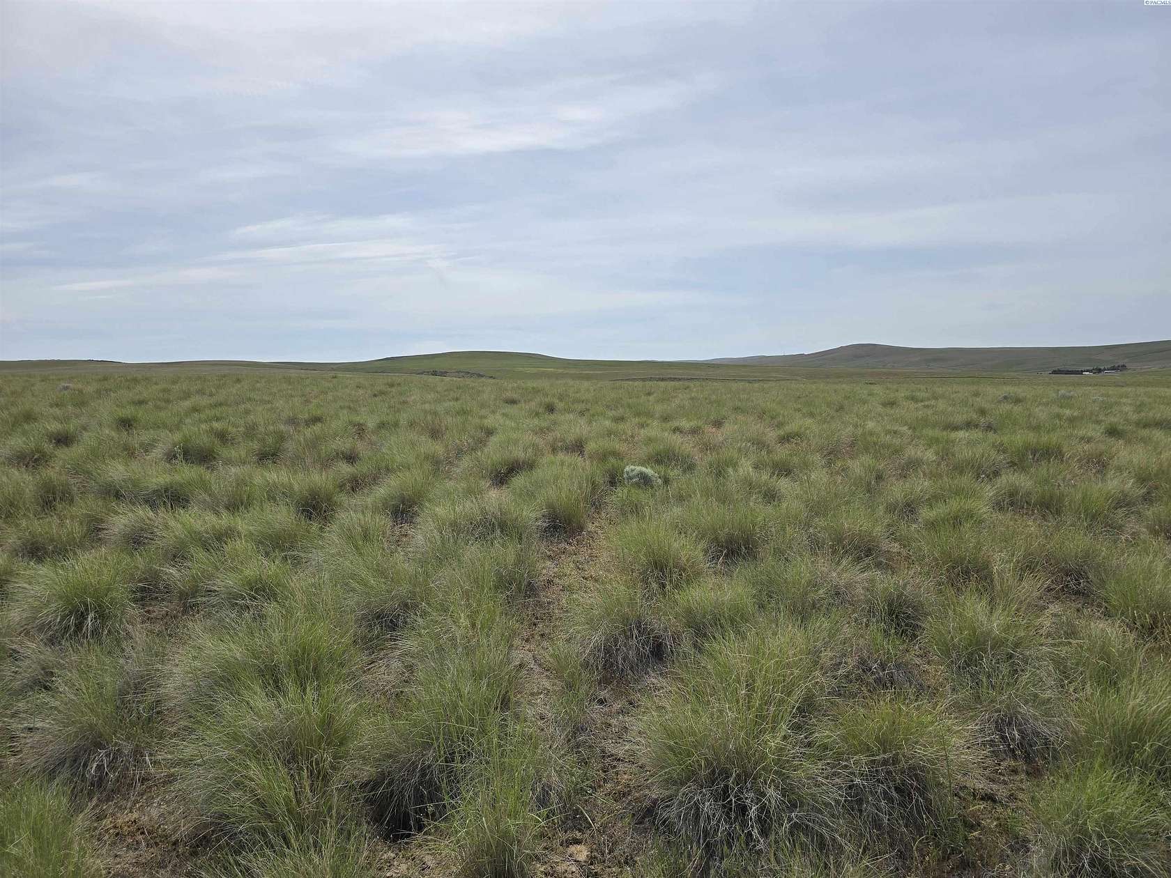 40 Acres of Agricultural & Residential Land for Sale in Mabton, Washington