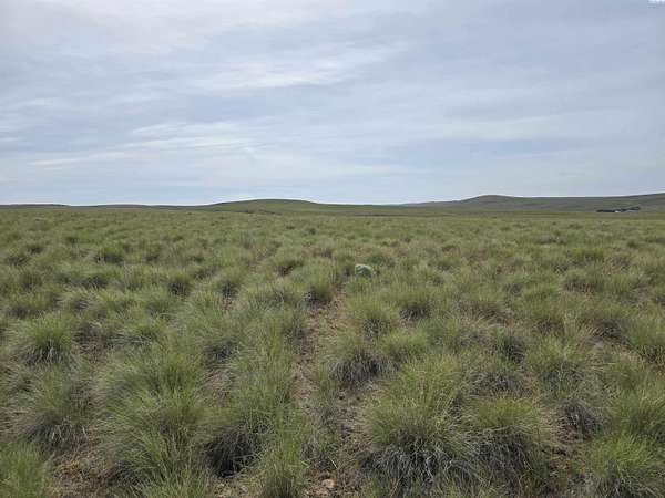 40 Acres of Agricultural & Residential Land for Sale in Mabton, Washington