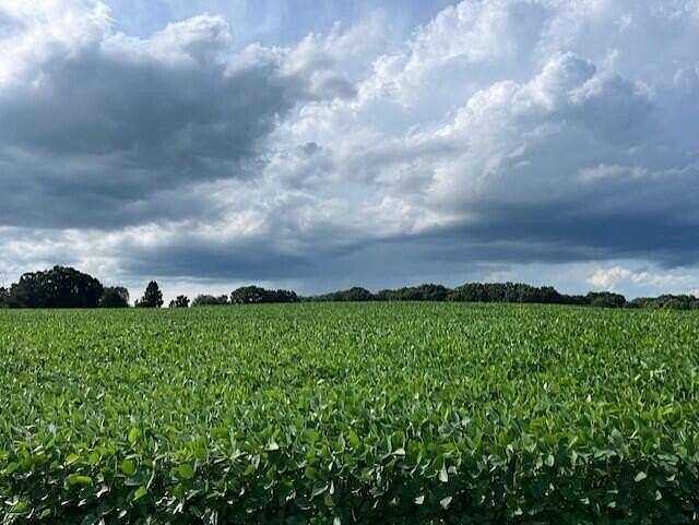 15 Acres of Land for Sale in Webberville, Michigan