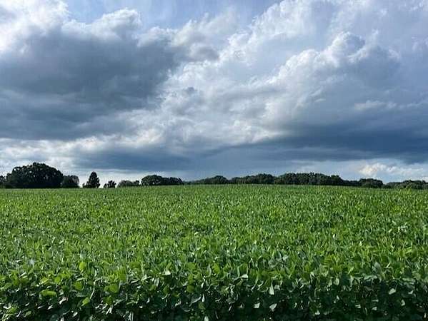 15 Acres of Land for Sale in Webberville, Michigan