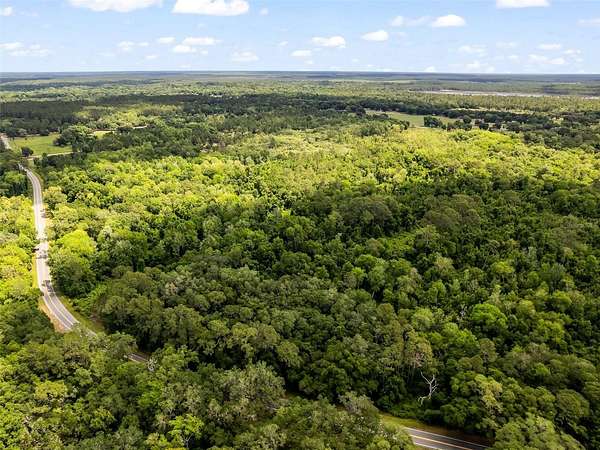 43.9 Acres of Recreational Land for Sale in Ocklawaha, Florida