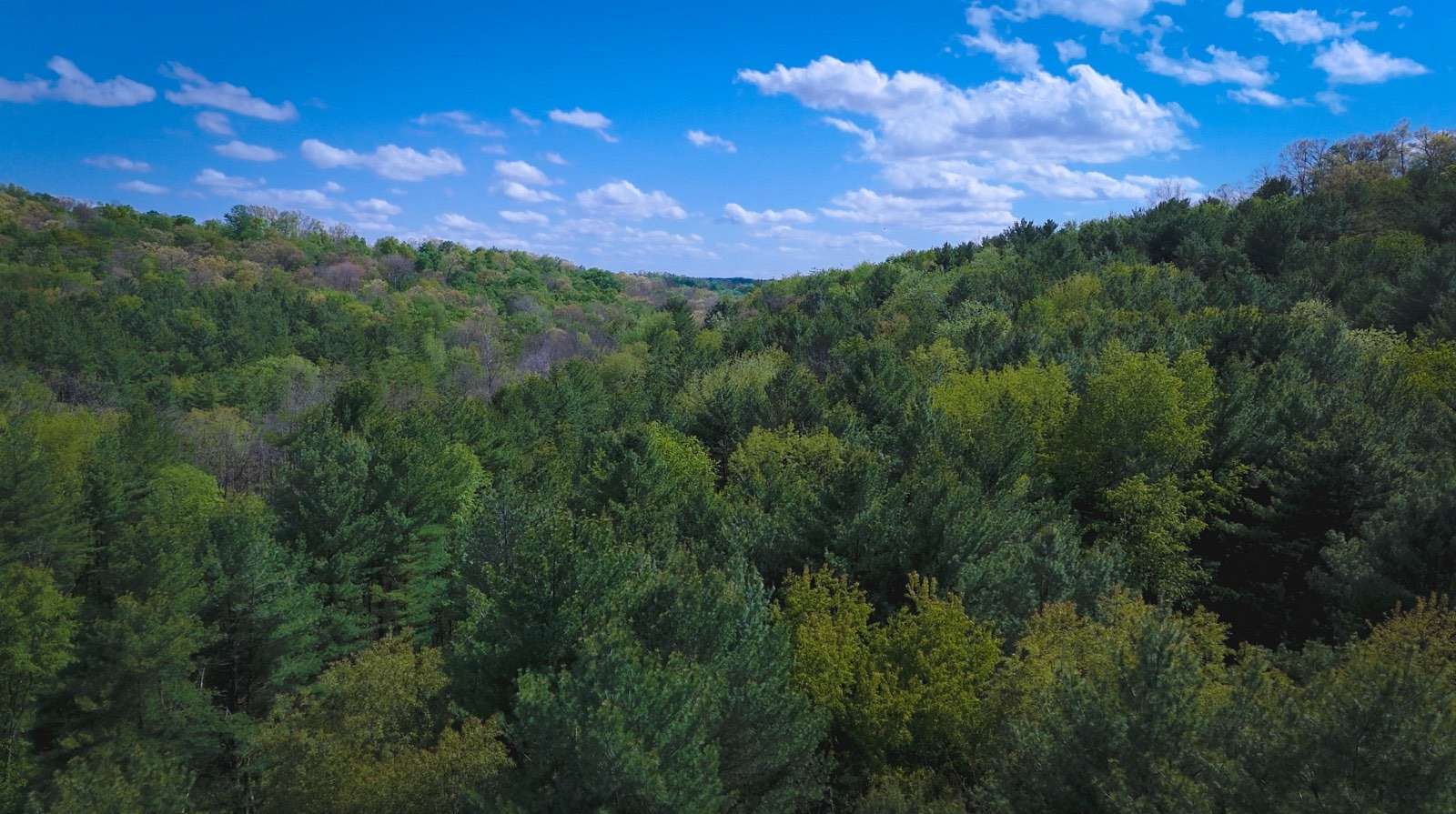 106 Acres of Recreational & Residential Land for Sale in Glenmont, Ohio