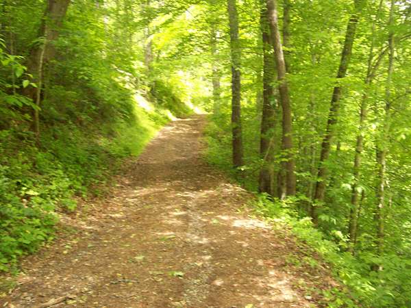 164 Acres of Recreational Land for Sale in Sneedville, Tennessee