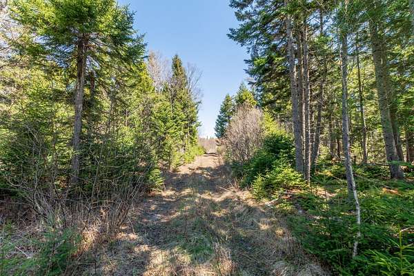 77 Acres of Recreational & Residential Land for Sale in Machiasport, Maine