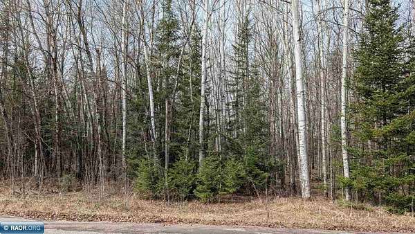 1 Acre of Residential Land for Sale in Cook, Minnesota