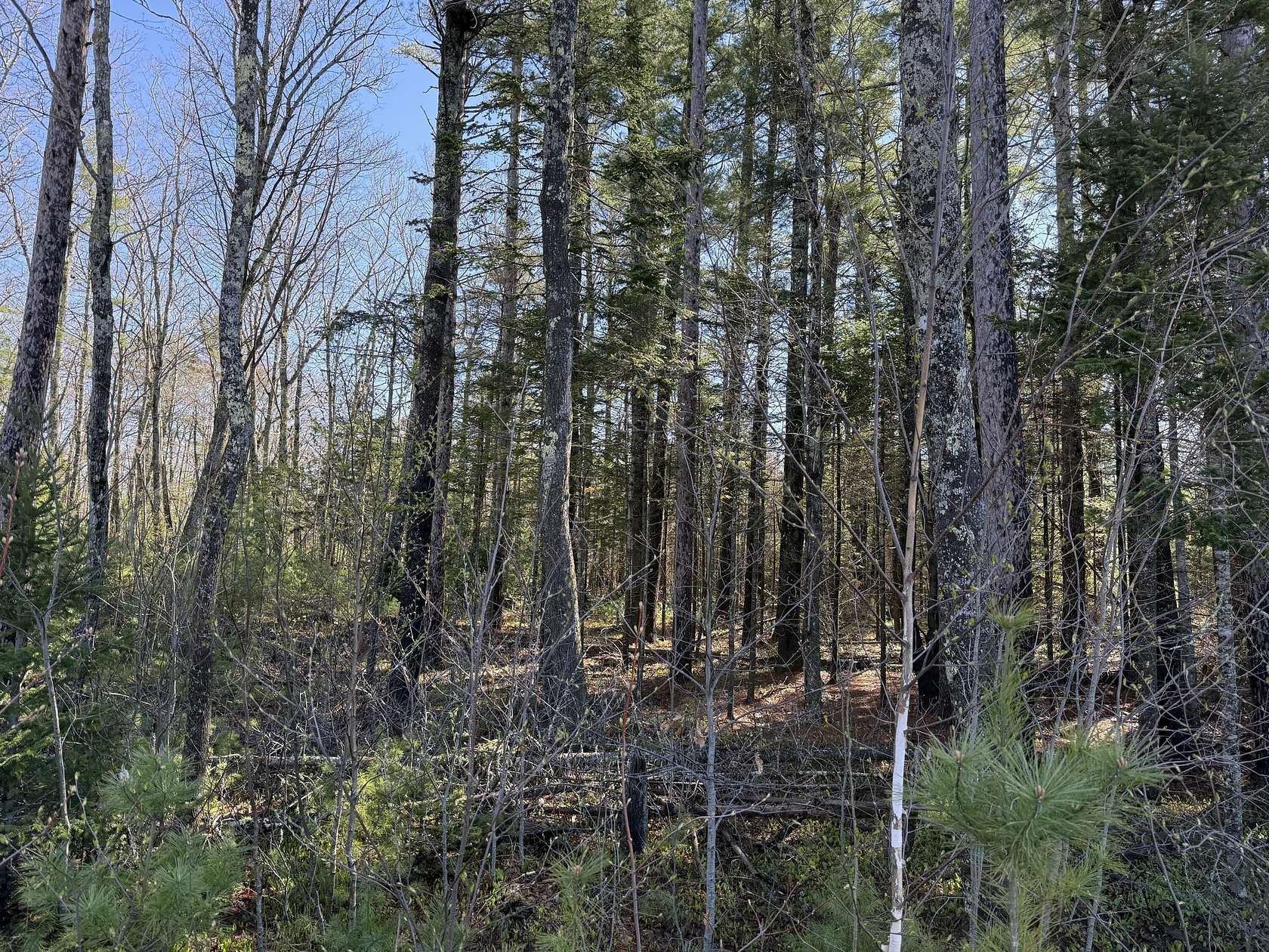 1 Acre of Residential Land for Sale in Warren, Maine