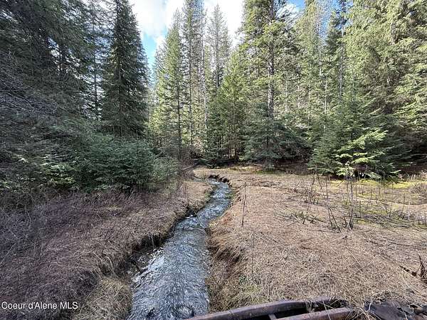 10 Acres of Land for Sale in St. Maries, Idaho