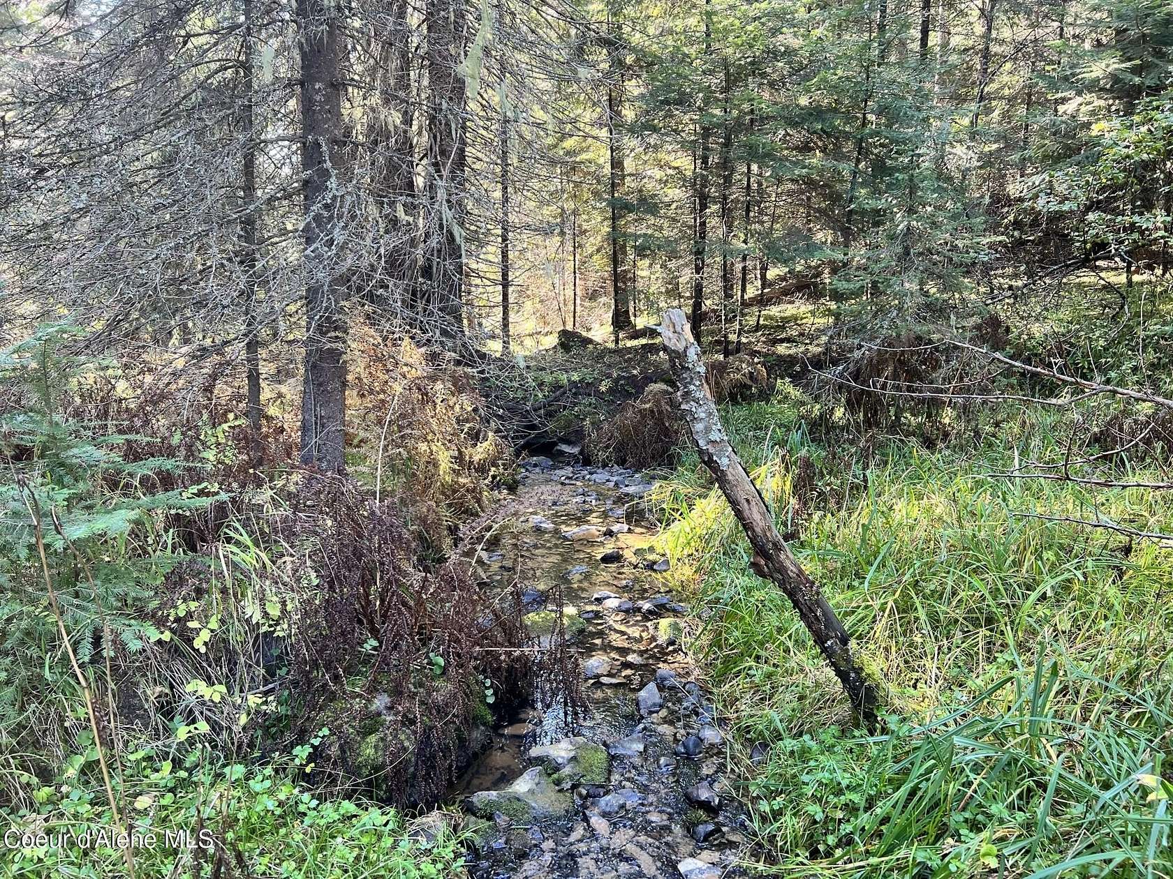 10 Acres of Land for Sale in St. Maries, Idaho